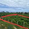 1 acre for sale in Diani thumb 1