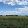 0.4 Acre Land For Sale in Naivasha , Pana Ranch thumb 2