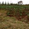 0.25 ac Land at Nyamathi thumb 3