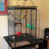 Sweet and lovely hand-reared parrots for sale thumb 5