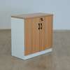2 Door Wooden Executive Office Cabinet thumb 0