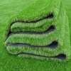FASCINATING GRASS CARPETS thumb 0