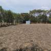 0.25 ac Land in Ruai thumb 9