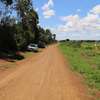 0.05 ac Land at Rumuruti Laikipia thumb 3