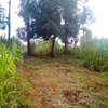 Residential Land at Ndenderu thumb 2
