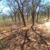 70 acres along Makindu-Wote Rd Makueni County thumb 7