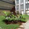 3 Bed Apartment with En Suite in Kilimani thumb 4