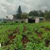 500 m² Commercial Land in Kikuyu Town thumb 23
