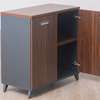 Office Cupboard: Office Low Credenza Filing Cabinet thumb 3