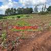 0.05 ha Land at Gikambura thumb 4