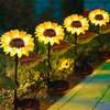 Solar Sunflowers IP65 LED Outdoor Garden Lights thumb 3