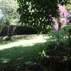 3 Bed House with Garden in Kitisuru thumb 19
