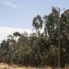 30 ac land for sale in Nyandarua County thumb 4