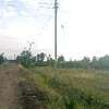 Fertile 1-Acre Farmland with Rich Soil & Water Access thumb 2