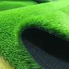 Wonderful grass carpet. thumb 1