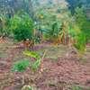 22 acres in Kwale County Vuga near Bila Shaka primary. thumb 4