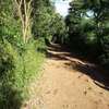 1000 m² residential land for sale in Ngong thumb 12