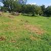 LAND FOR SALE KILIFI MTONDIA BOFA ROAD thumb 1