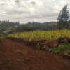 Beautiful One Eighth plots in Ngong thumb 1