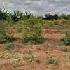 30 acres of land for sale in Makindu Makueni County thumb 6