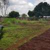 0.5 ac Residential Land at Hibiscus Drive thumb 4