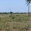MTONDIA HIGHWAY KILIFI PLOTS thumb 7
