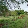 5 ac residential land for sale in Mombasa Island thumb 10