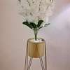 Indoor Luxurious Golden Decorative Plant Stand thumb 0