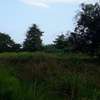 80,940 m² Commercial Land in Kwale County thumb 11