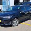 Toyota Axio WXB 2019 2wd thumb 1
