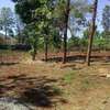 0.5 ac Residential Land at Muthaiga North thumb 7