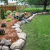 Nairobi Gardeners - Garden Care in Nairobi thumb 11