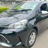Toyota vitz KDK Black 1300 thumb 0