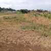 ¾ ACRE LAND FOR SALE AT KENOL TOUCHING THIKA SUPER HIGHWAY thumb 7