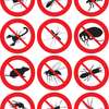 24 Hour Bed Bug Exterminator Woodley /Lindi/Kahawa Sukari thumb 5
