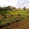 Prime serviced 0.07acres thumb 1