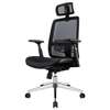 Office Chair: Adjustable Arms Orthopedic Fabric Mesh Chair thumb 1