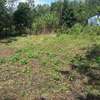 Lovely Quarter ( 1 / 4 ) Acre Land in Ngong thumb 11