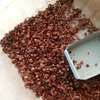 Mexican Cypress seeds|CEDAR SEEDS| Seedlings for sale thumb 5