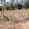 100*100ft plot for sale touching Kenol Marua highway thumb 3