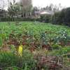 0.25 ac Residential Land in Ngong thumb 6