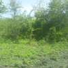 20 Acres Touching Masinga Dam Is Available For Sale thumb 2