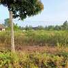 15 ac Land at Bomani thumb 6