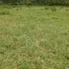 420 Acres Fronting Galana River in Malindi Is for Sale thumb 2