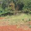 0.5 ac Residential Land at Muthithi thumb 2