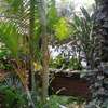 4 Bed Apartment with En Suite in Kilimani thumb 1