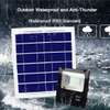 30watts solar flood light thumb 2