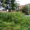 1/4-Acre Plot For Sale in Wangige thumb 7