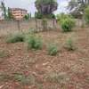 480 m² Residential Land at Diani thumb 0