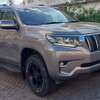 Toyota land cruiser Prado Txl 2019 thumb 0